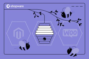 The Essential Guide to Shopware Integration Services