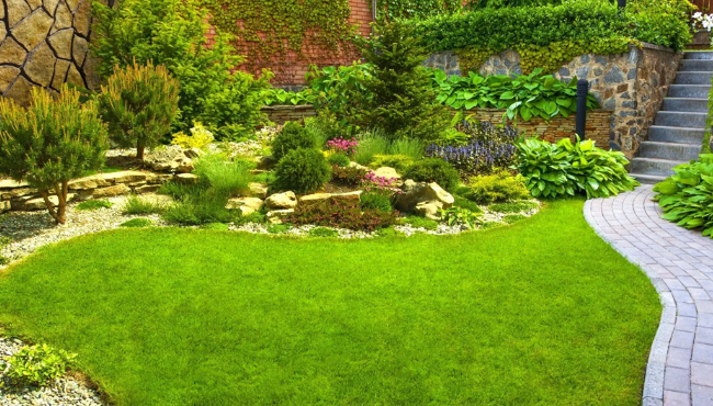 Designing Your Dream Landscape: The Importance of Professional Landscaping Services and Installation