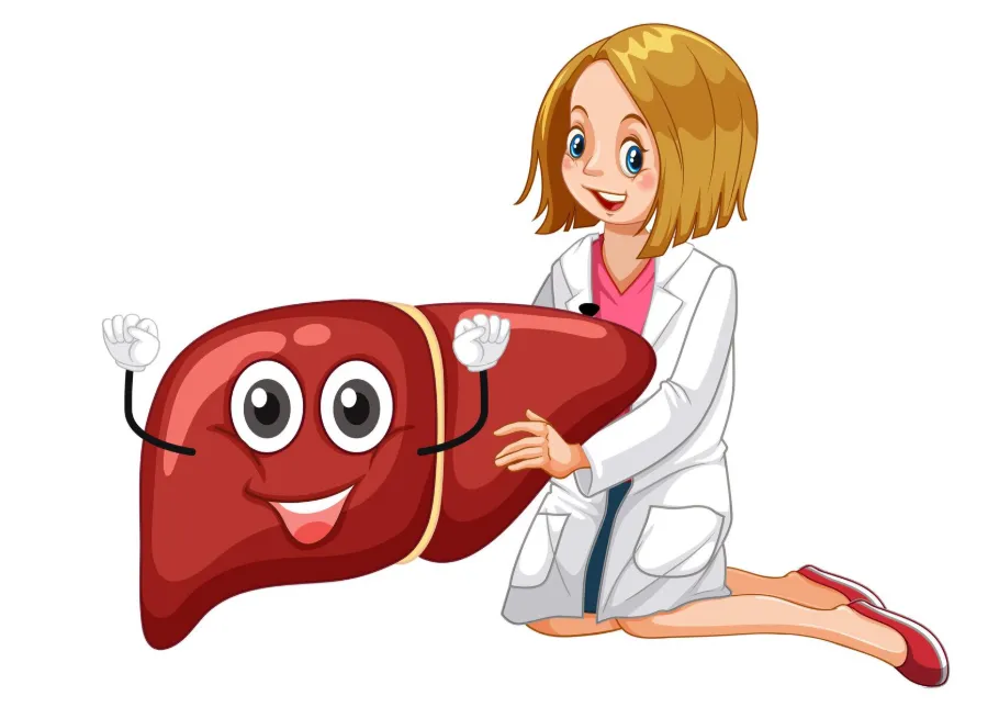 Practical Ways to Support Liver Health Through Daily Habits